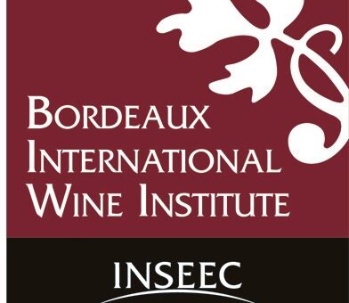 découvrez comment les entreprises bordelaises s'internationalisent, leurs stratégies de développement à l'étranger et les avantages qu'elles tirent de leur présence sur les marchés mondiaux.